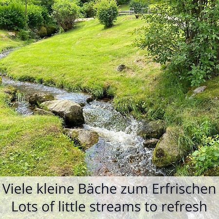 Auszeit Apartment Black Forest Schonach im Schwarzwald Екстериор снимка