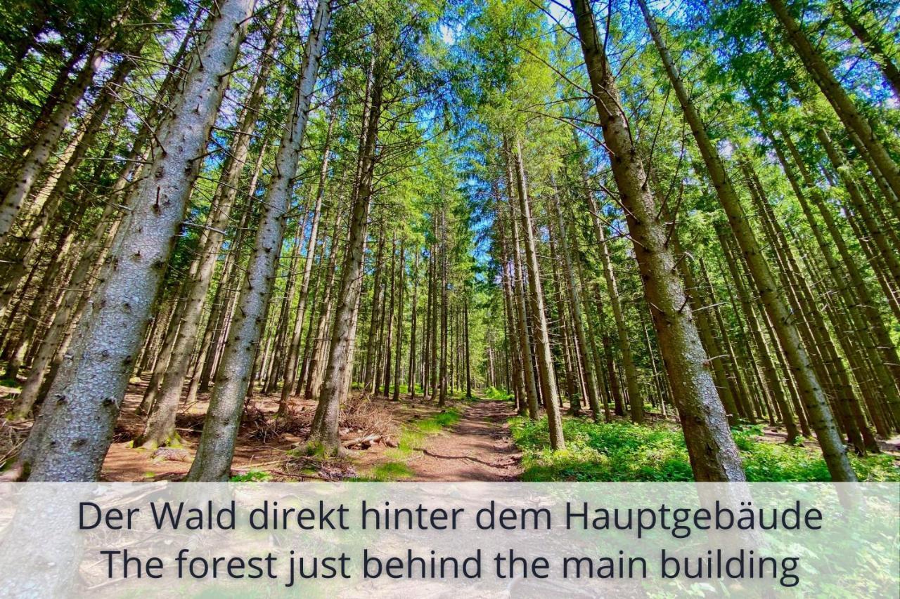Auszeit Apartment Black Forest Schonach im Schwarzwald Екстериор снимка