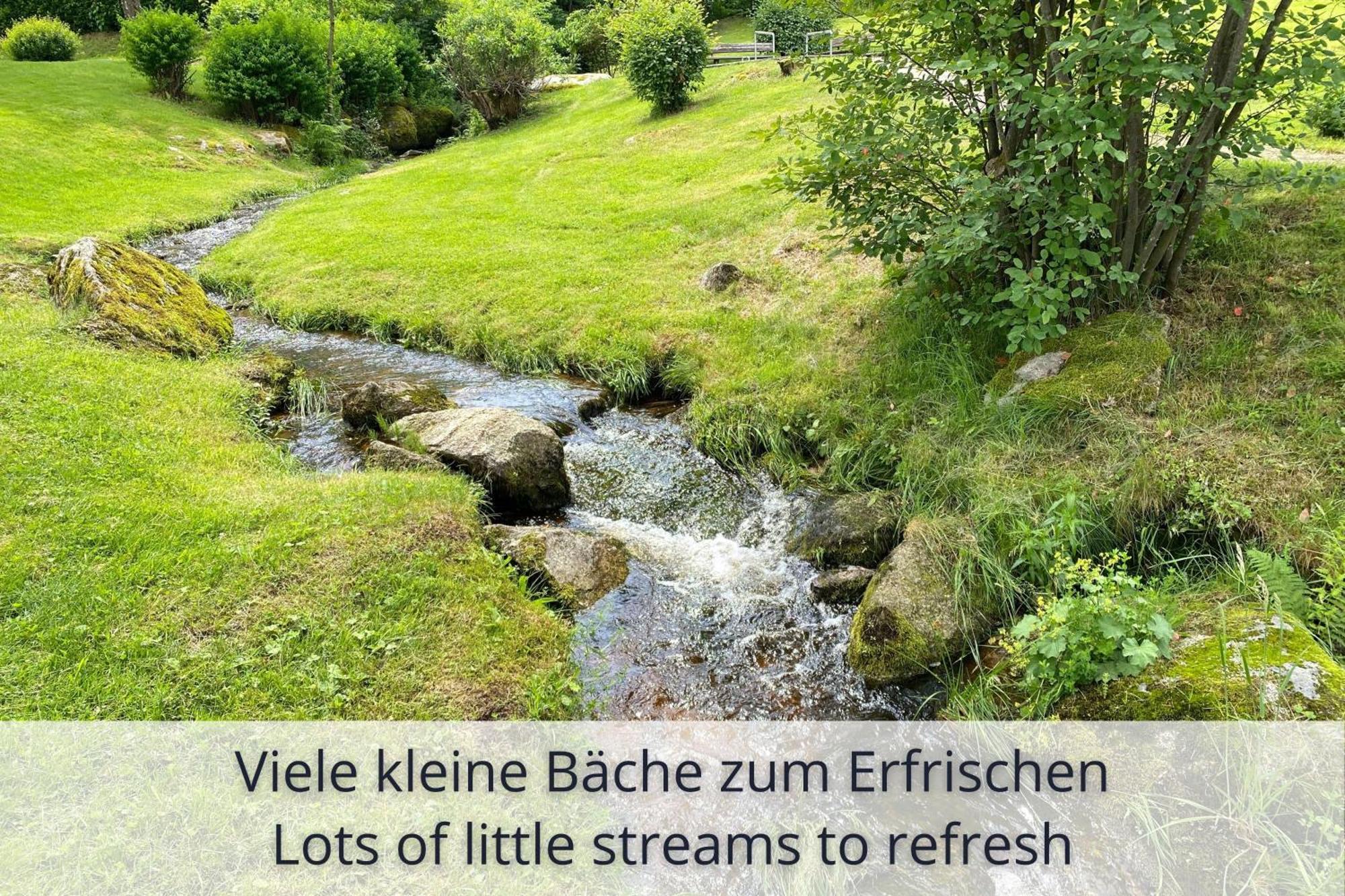 Auszeit Apartment Black Forest Schonach im Schwarzwald Екстериор снимка