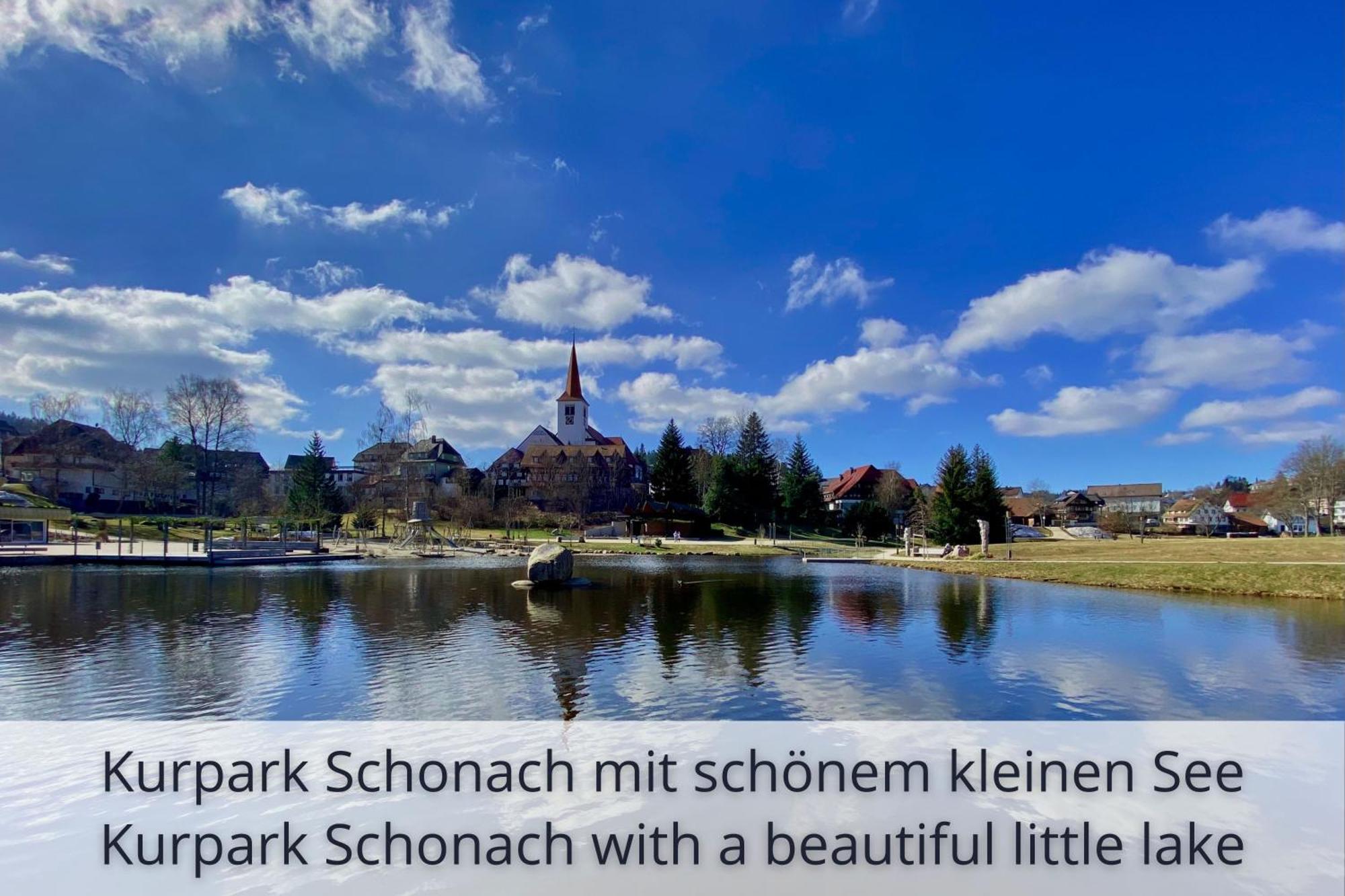 Auszeit Apartment Black Forest Schonach im Schwarzwald Екстериор снимка
