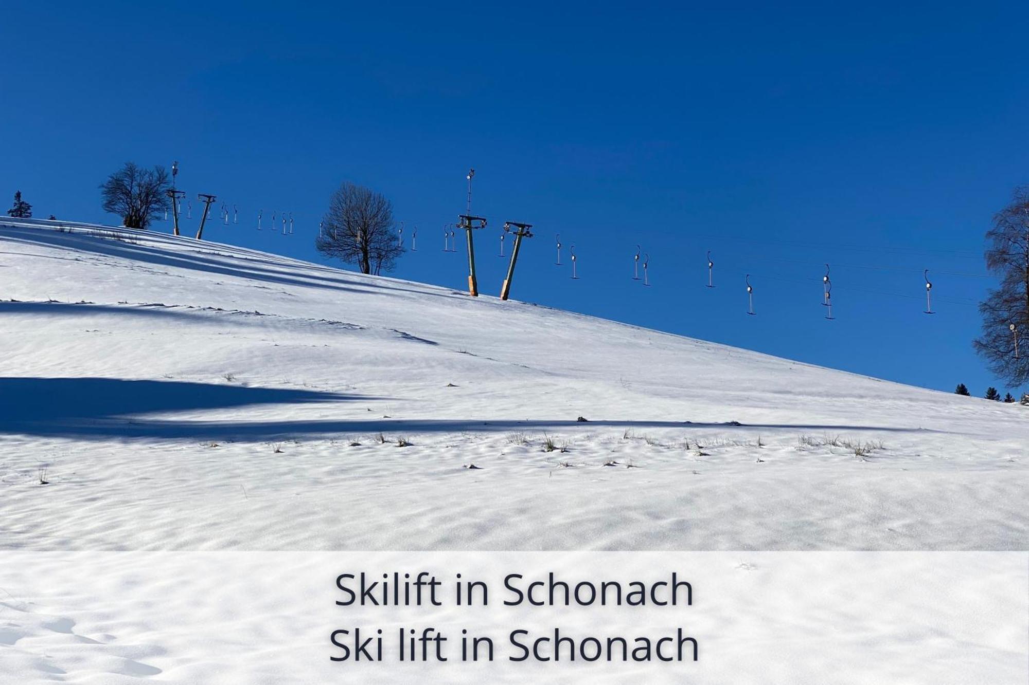 Auszeit Apartment Black Forest Schonach im Schwarzwald Екстериор снимка