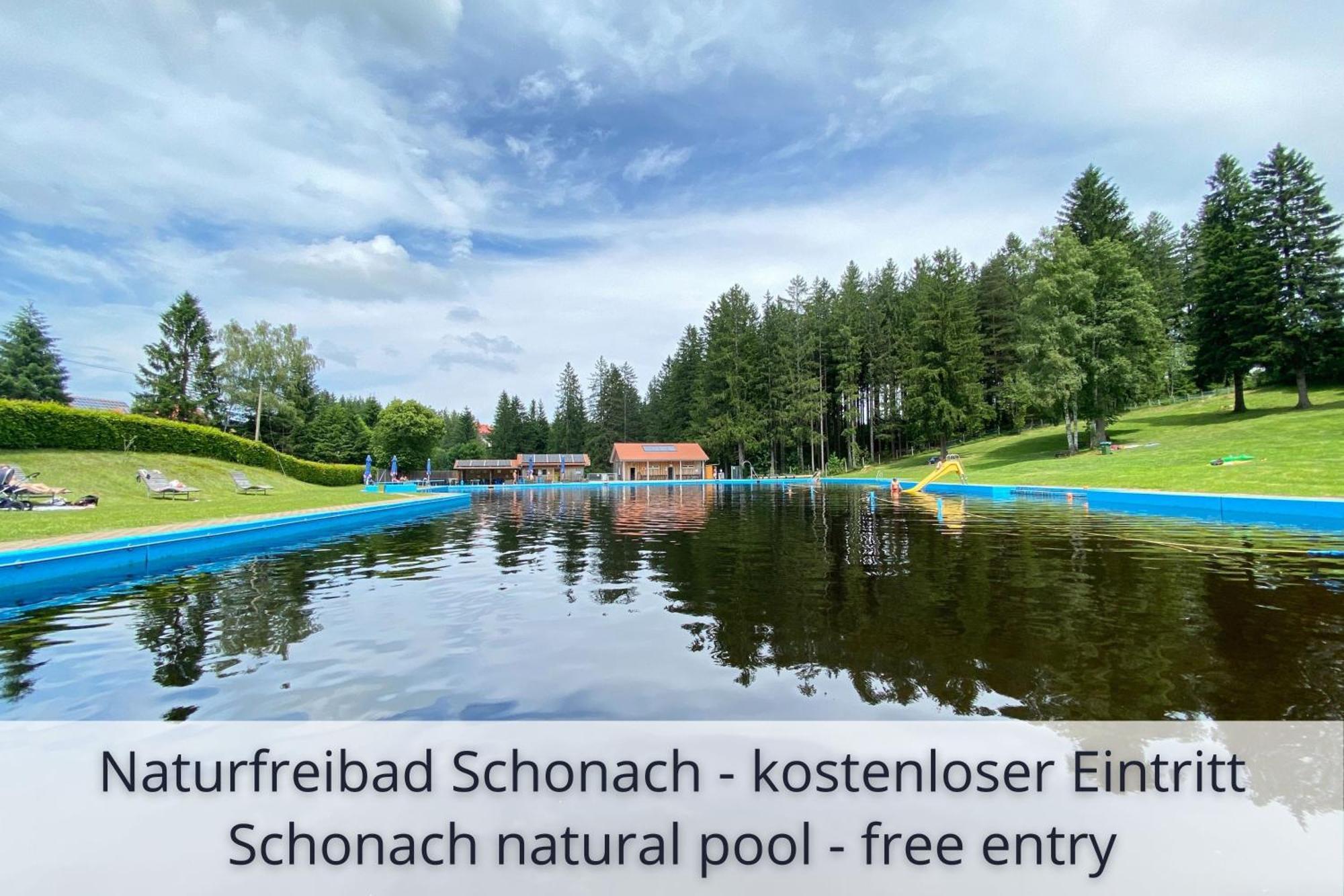 Auszeit Apartment Black Forest Schonach im Schwarzwald Екстериор снимка