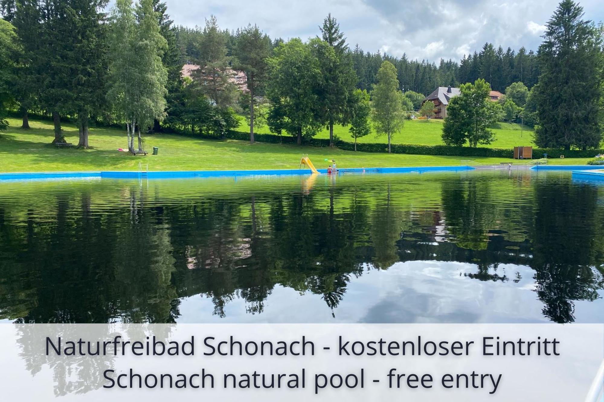 Auszeit Apartment Black Forest Schonach im Schwarzwald Екстериор снимка