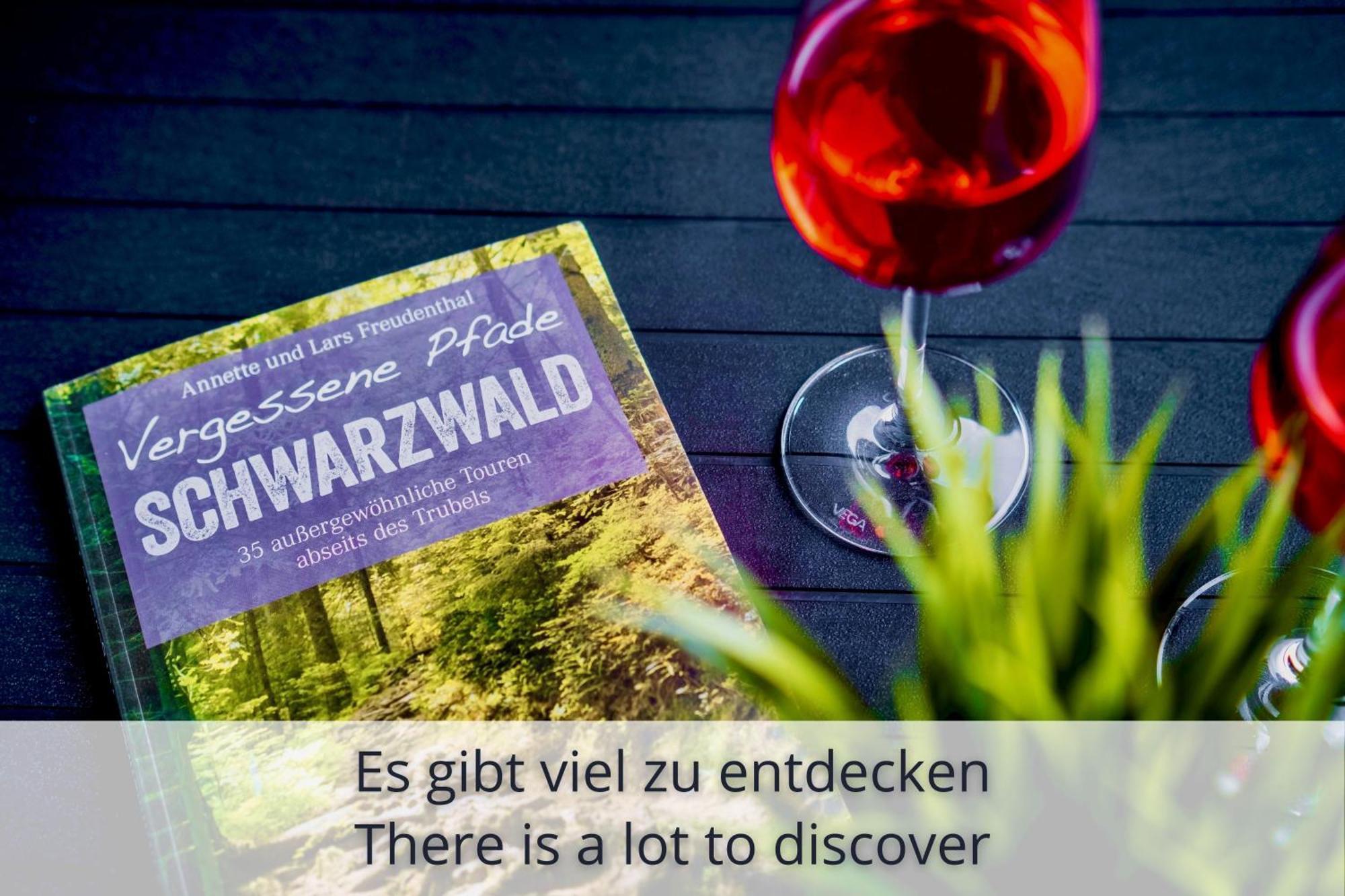 Auszeit Apartment Black Forest Schonach im Schwarzwald Екстериор снимка