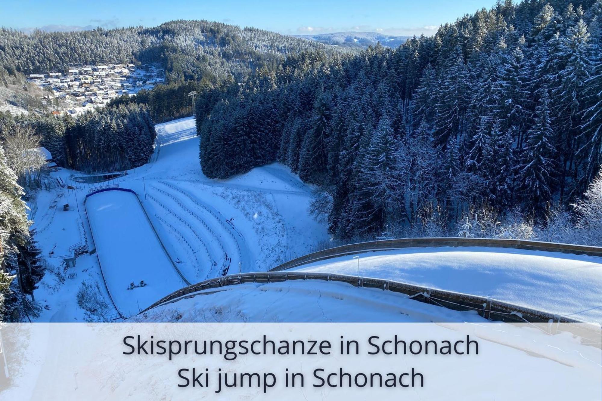 Auszeit Apartment Black Forest Schonach im Schwarzwald Екстериор снимка