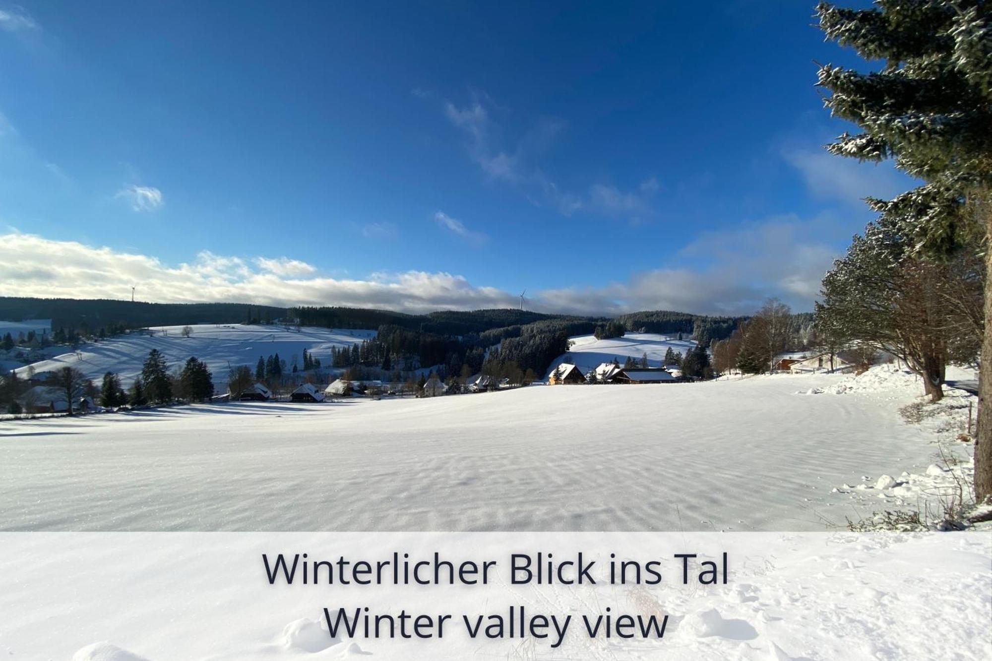 Auszeit Apartment Black Forest Schonach im Schwarzwald Екстериор снимка