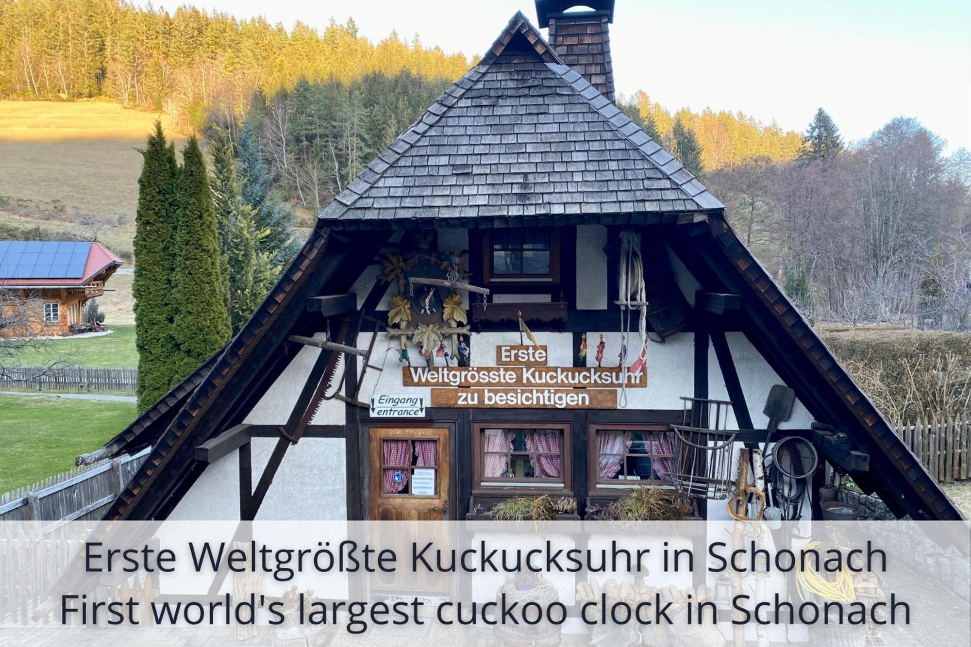 Auszeit Apartment Black Forest Schonach im Schwarzwald Екстериор снимка