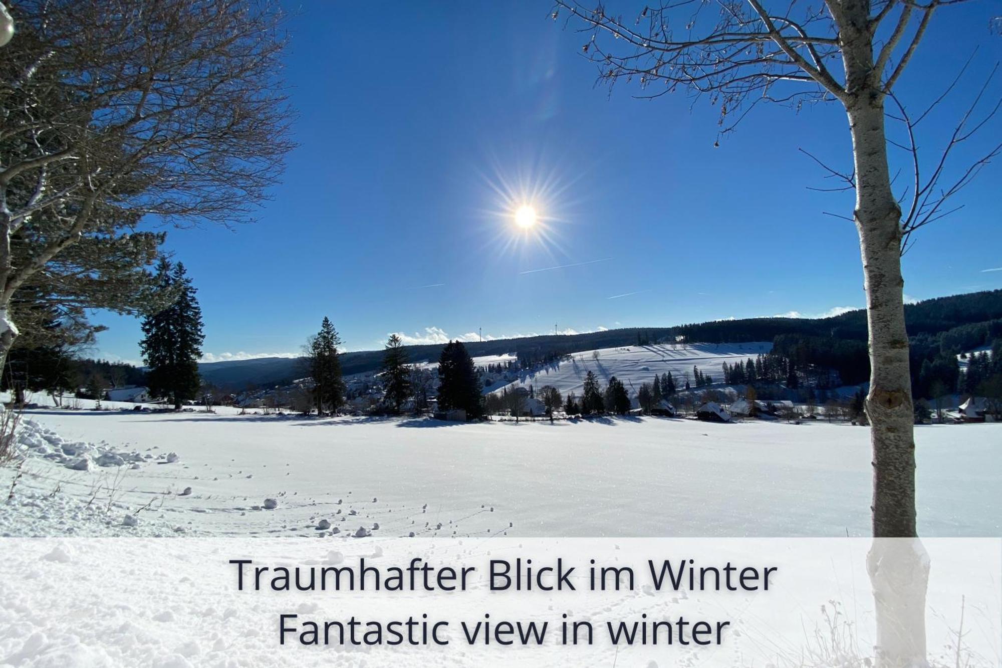 Auszeit Apartment Black Forest Schonach im Schwarzwald Екстериор снимка