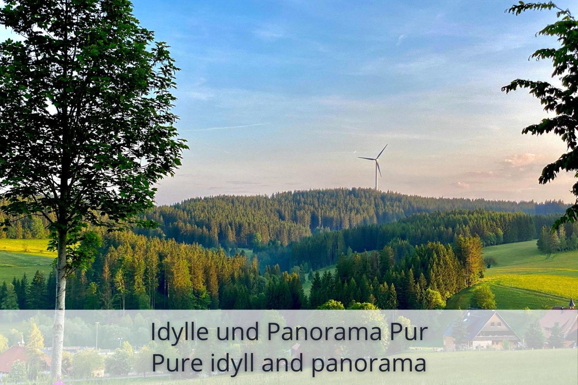 Auszeit Apartment Black Forest Schonach im Schwarzwald Екстериор снимка