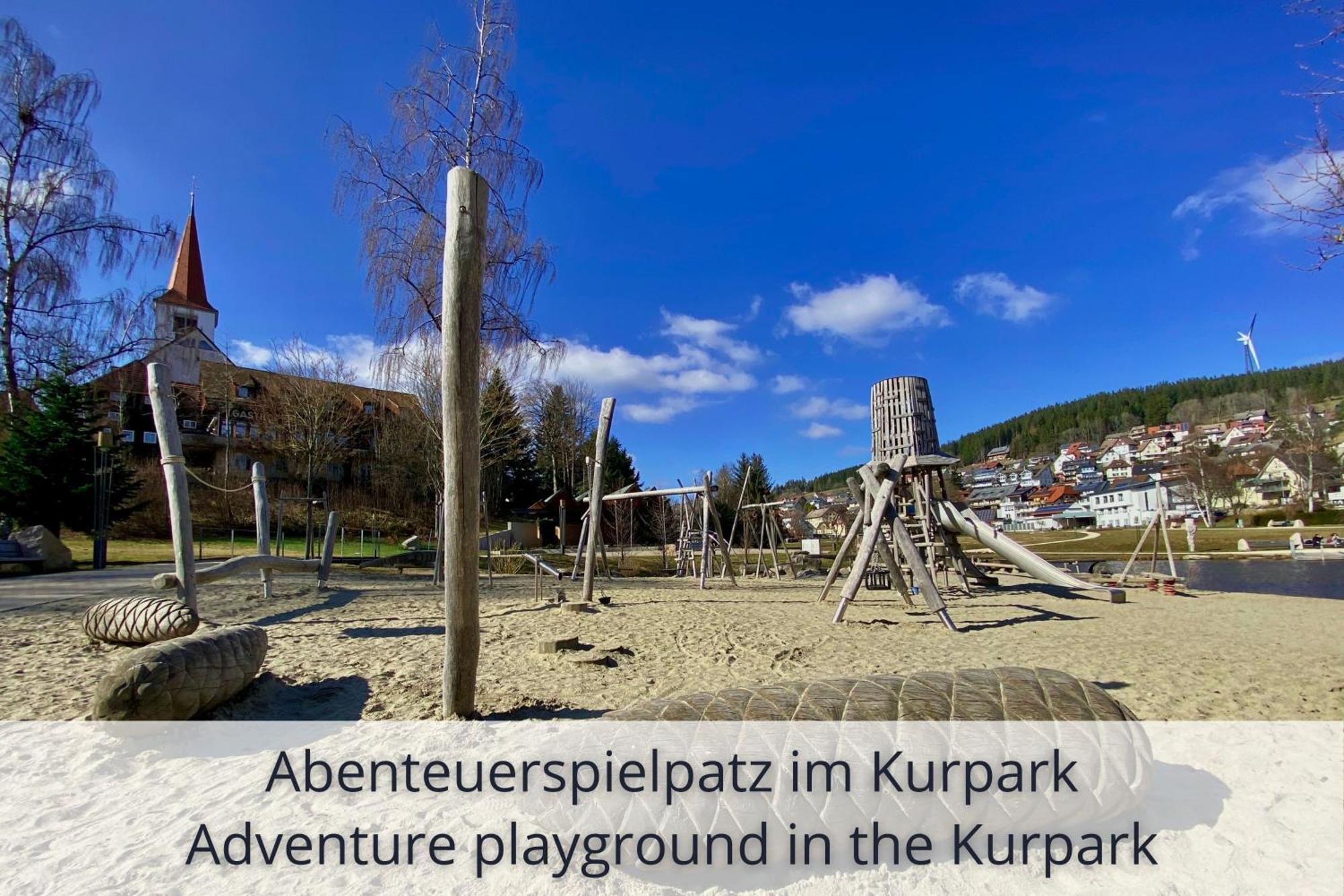 Auszeit Apartment Black Forest Schonach im Schwarzwald Екстериор снимка
