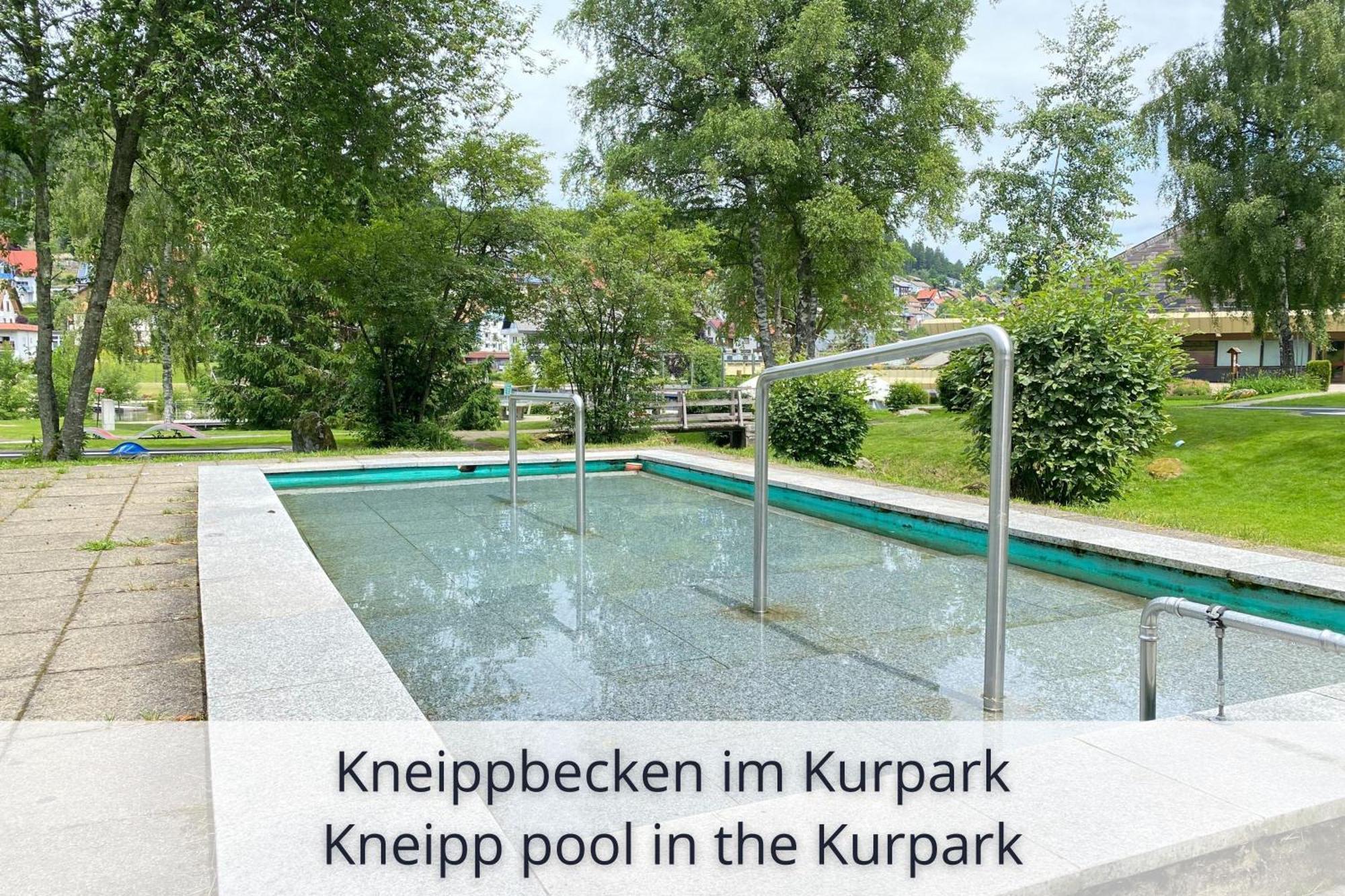 Auszeit Apartment Black Forest Schonach im Schwarzwald Екстериор снимка