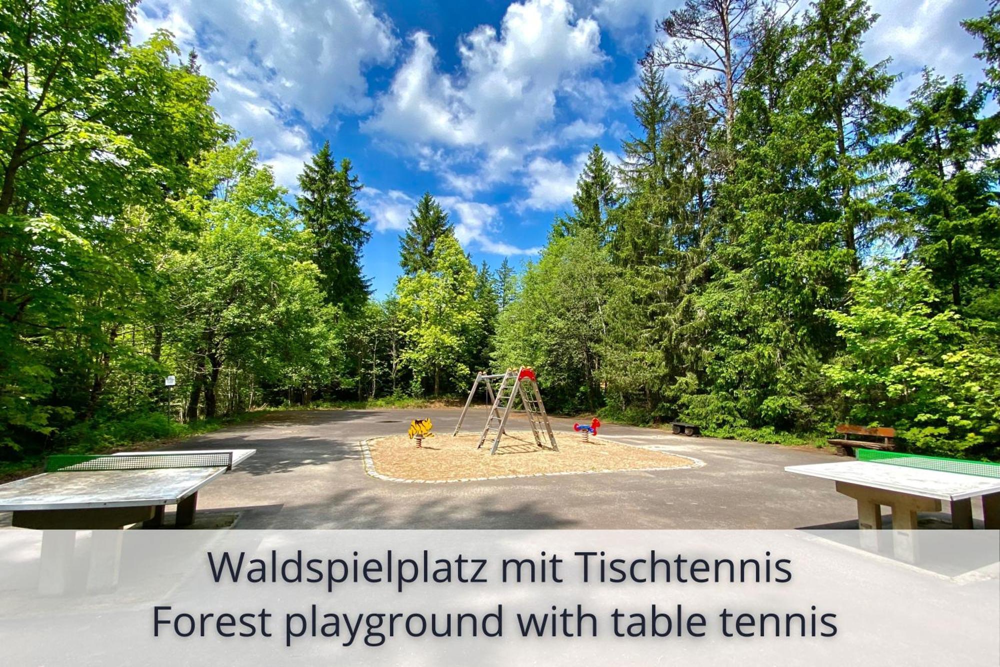 Auszeit Apartment Black Forest Schonach im Schwarzwald Екстериор снимка
